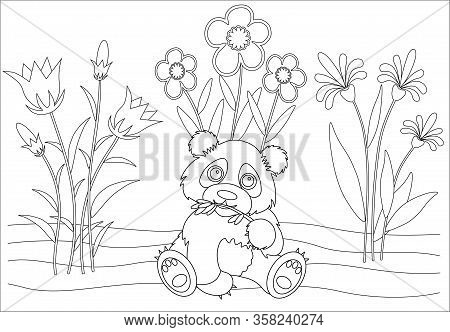 Panda Coloring Book At The Zoo For Children