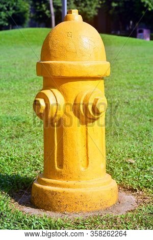 Yellow Fire Hydrant Reserve In The Park