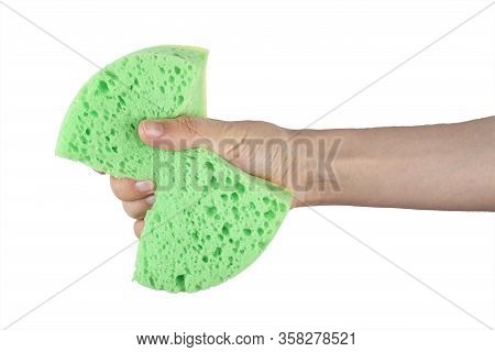In Hand A Sponge For Cleaning On A White Background, Workhouse Concept. File Contains Clipping Path.