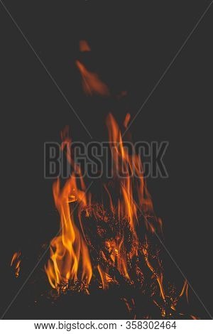 Dark Background Bonfire From Branches In The Fireplace . Flame And Sparks.