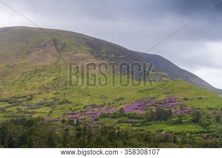 View Of Irish Countryside, Gleensk, Republic Of Ireland