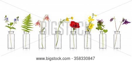 Natural Remedies, Bottle - Bach.  Bottles Of Essential Oil With Herbs Holy Flower.