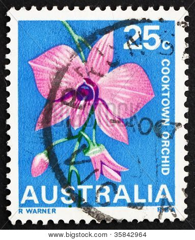 รัฐ Cooktown ออร์คิด รัฐควีนส์แลนด์ ออสเตรเลีย 1968 แสตมป์