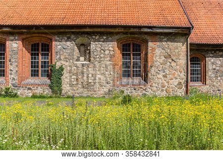 Yellow Flowers In The Garden Of The Johannis Church In Flensburg, Germany