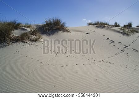 View Of The White Dunes Of Arenas Beach, Teulada