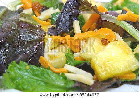 Detail Of A Salad In A Bowl