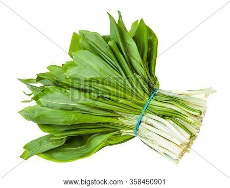 Bunch Of Fresh Wild Garlic (ramson) Isolated On White Background