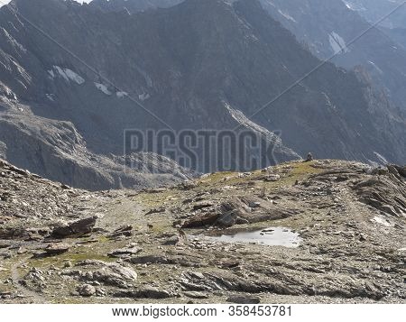 2018 August The 19Th  Senales Valley