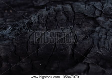 Black Textured Texture Of Burnt Tree Bark. Fire, Environmental Protection. Take Care Of The Forest