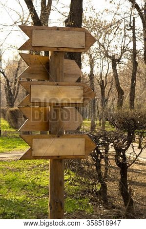 Wooden Pole With Direction Signs In The Park