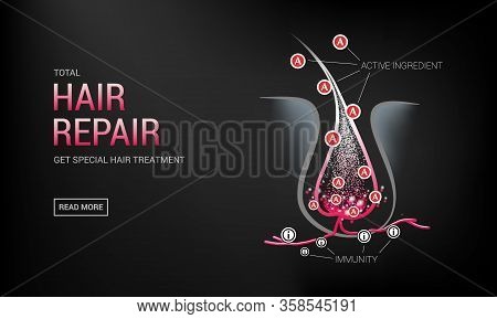 Hair Follicles In Skin, Vitamins, Keratin, Growth Cycle