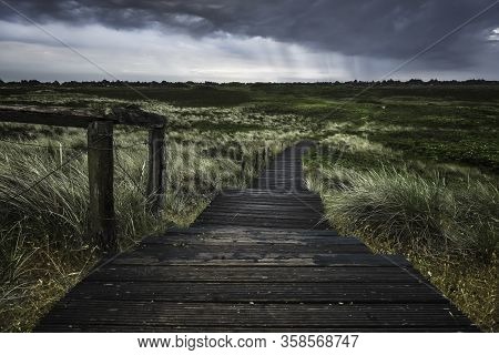 Wooden Footpath Through Marram Grass And Roses Bushes On Sylt Island Dunes, On A Stormy Day. Wet Wal