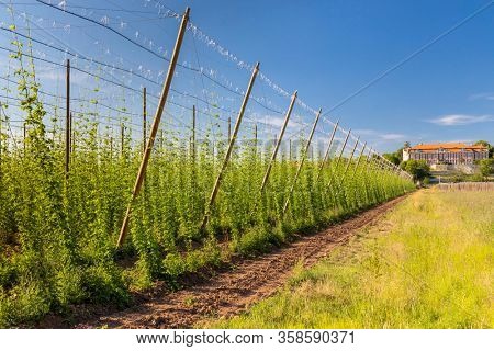 Rococo castle Steknik with hop field, Czech Republic