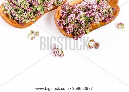 Purple Flowers Of Origanum Vulgare Or Common Oregano, Wild Marjoram.