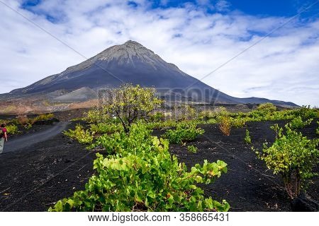 Pico Do Fogo And Vine Growing In Cha Das Caldeiras, Cape Verde