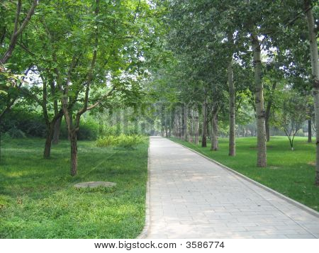 Pequim Park 1