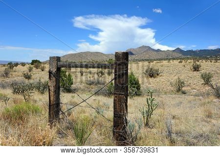 Old Fence Posts Hold Barbed Wire In Place.  Distant View Of The Sandia Mountain Foothills.  Cholla C