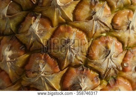Pineapple Fruit Close-up. ?ineapple Skin Texture. Rind. ?olor Of Pineapple Peel.