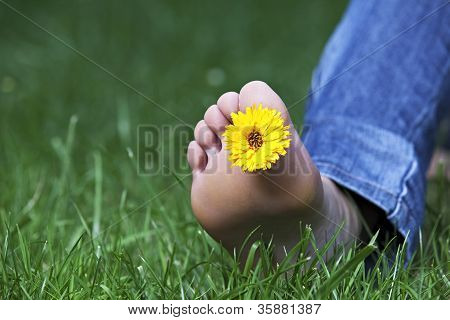 flor