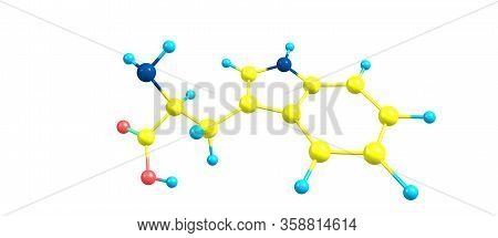Tryptophan Molecular Structure Isolated On White