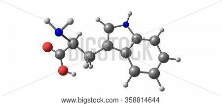 Tryptophan Molecular Structure Isolated On White