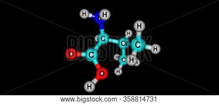 Valine Or Val An Amino Acid That Is Used In The Biosynthesis Of Proteins. 3d Illustration