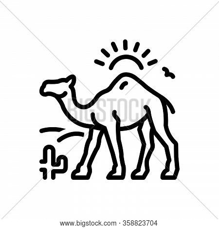 Black Line Icon For Camel-in-desert-with-sun Camel Desert Dune Landscape Natural Journey Sand Cactus