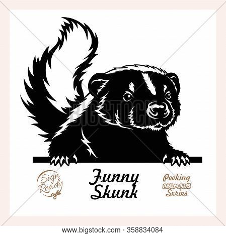 Peeking Skunk - Funny Skunk Peeking Out - Face Head Isolated On White