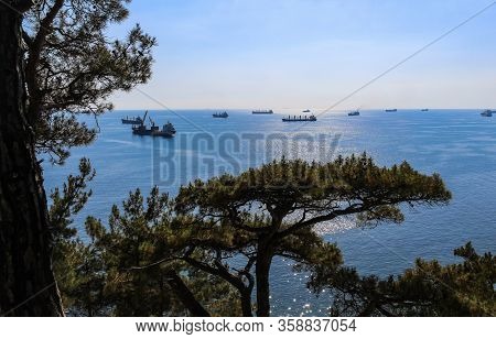 hike to the wild beach and camping, with views of cargo ships, the outskirts of the resort of Gelendzhik and the neighboring city of Novorossiysk. Black sea coast