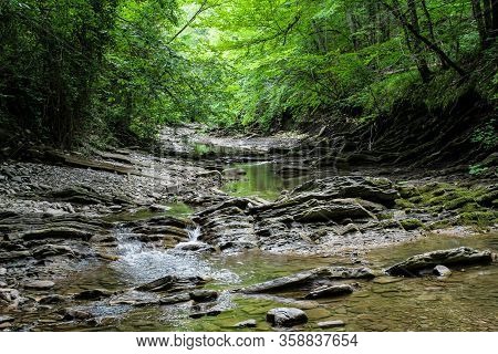 Road To Waterfalls And River. Summer Forest