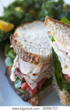 Turkey Sandwich
