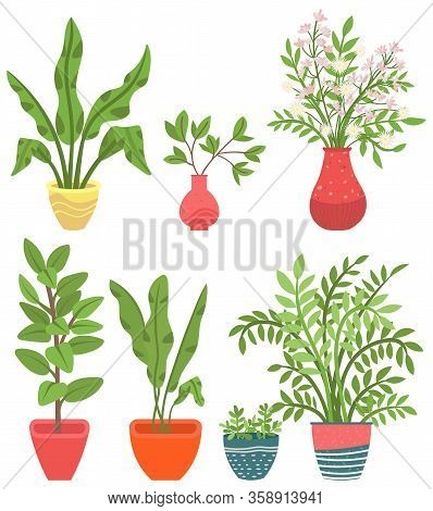 Flowers In Vases, Floral Decor For Home Flat Style Flourishing On Branches, Plant With Frondage, Ten