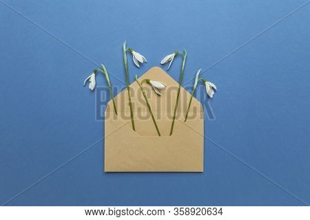 Fresh Beautiful Snowdrops Flowers In Envelope Isolated On Blue Background. Invitation On Wedding Or 