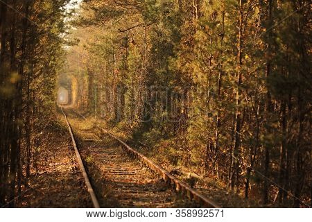 Fall Autumn Tunnel Of Love. Tunnel Formed By Trees And Bushes Along A Old Railway In Klevan Ukraine.