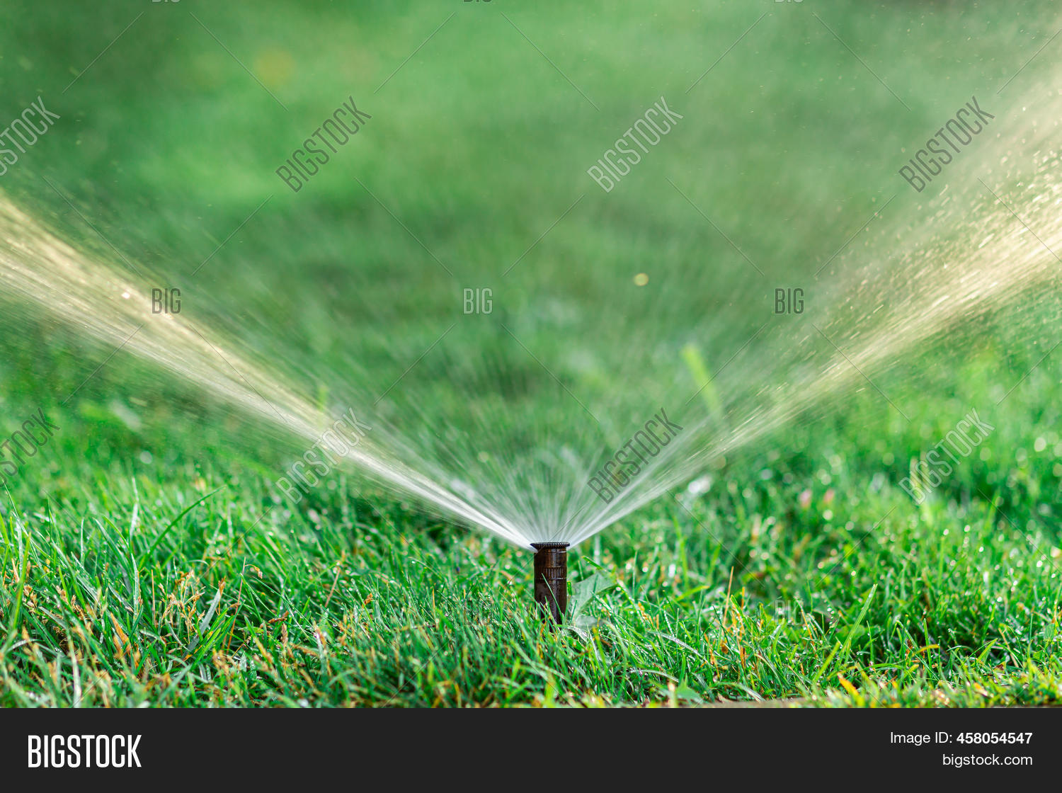 Automatic Sprinkler Image & Photo (Free Trial) Bigstock