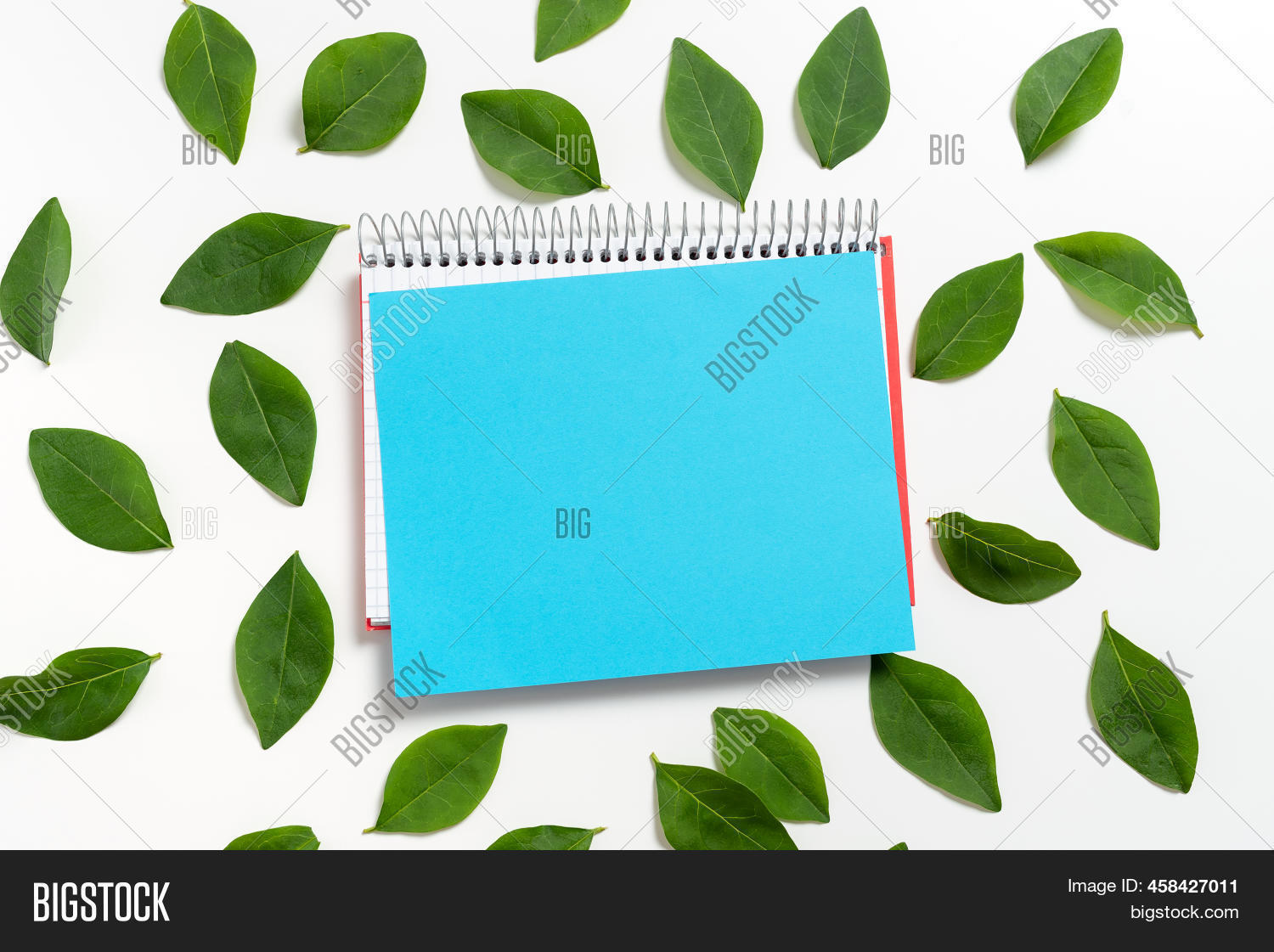 Spiral Notebook Blank Image & Photo (Free Trial) Bigstock