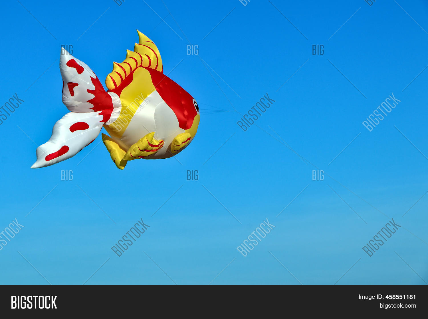 Back View Goldfish Image & Photo (Free Trial) Bigstock