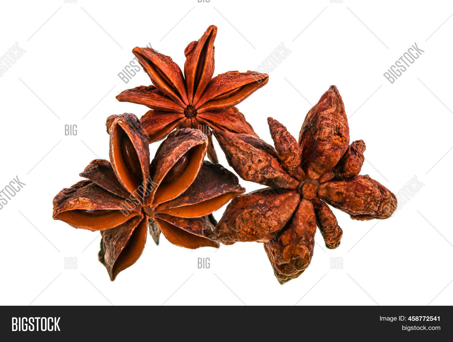Star Anise Fruit Plant Image & Photo (Free Trial) Bigstock