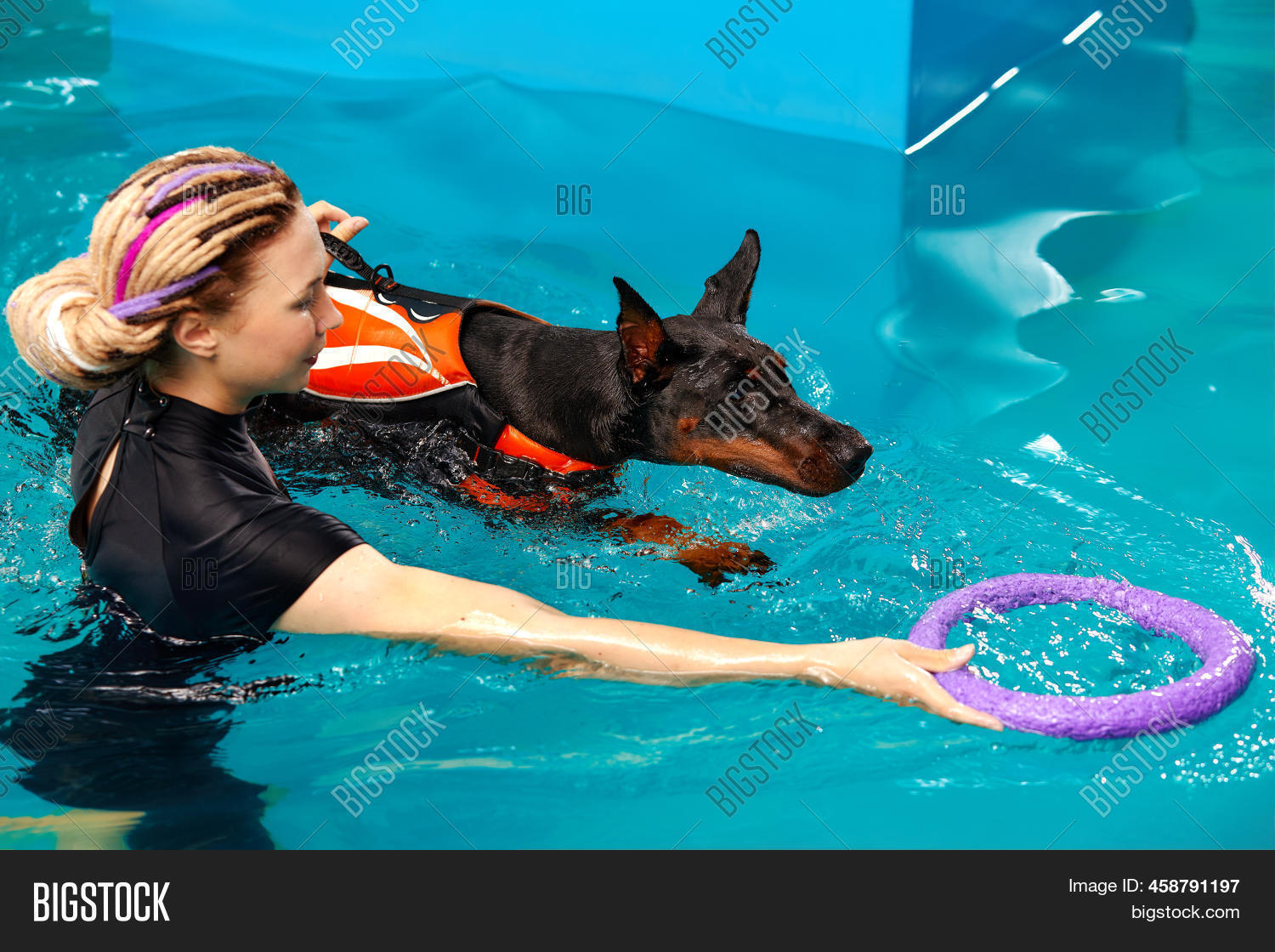 Dog Life Jacket Swim Image & Photo (Free Trial) Bigstock
