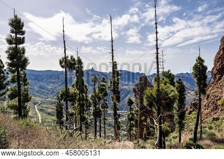 Gran Canaria Hiking Route Cruz De Tejeda To Artenara, View Into Caldera De Tejeda, Gran Canaria, Can
