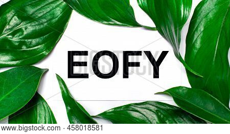 Against The Background Of Green Natural Leaves, A White Card With The Text Eofy
