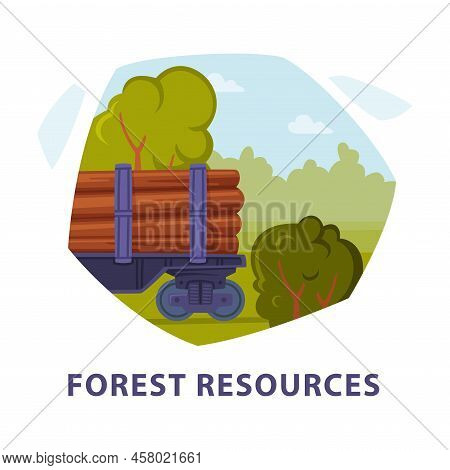 Natural Forest Resource With Wood Cutting Hexagonal Shape Picture Vector Illustration