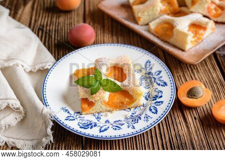 Homemade Apricot Sponge Cake Sprinkled With Powdered Sugar