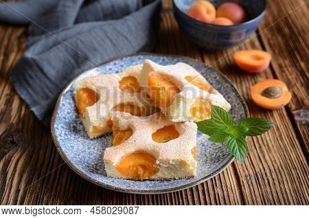 Homemade Apricot Sponge Cake Sprinkled With Powdered Sugar