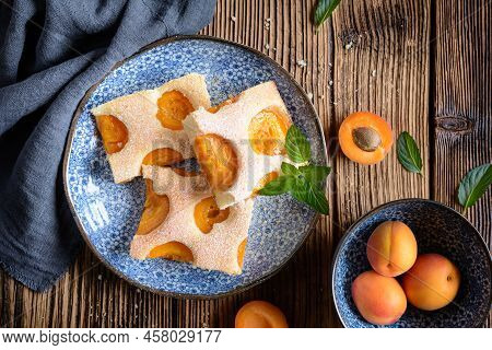 Homemade Apricot Sponge Cake Sprinkled With Powdered Sugar