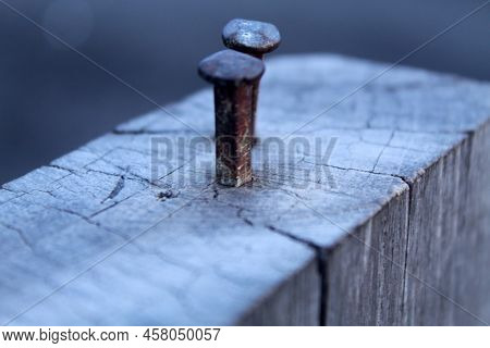 Nails On Wood. Two Nails Nailed To The Wood Timber.