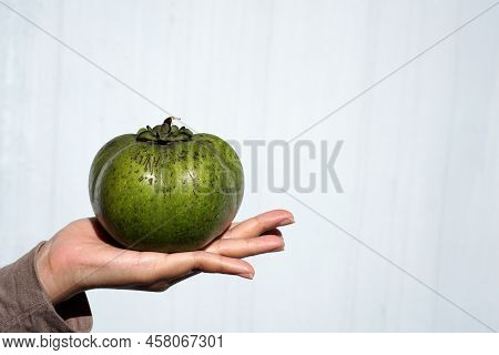 The Black Sapote, Also Known As The Chocolate Pudding Fruit. Exotic Fruit From Mexico.