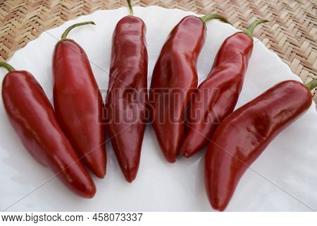 Thick Big Fresh Red Chilly Vegetable. Hot Red Cayenne Pepper Or Jalepeno Chili Used To Make Indian P