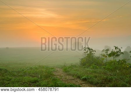 Serene Landscape In The Fog - The Shores Of Lake Otolovo In Belarus
