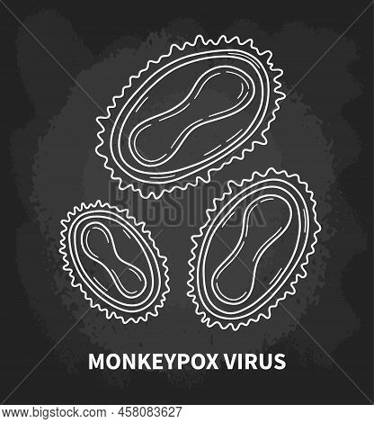 Monkeypox Virus Internal Structure Of The Cell In Close Up